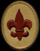 scout badge