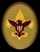 tenderfoot badge